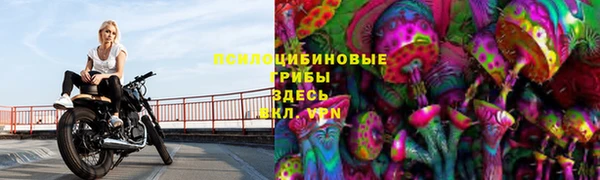 СК Абинск