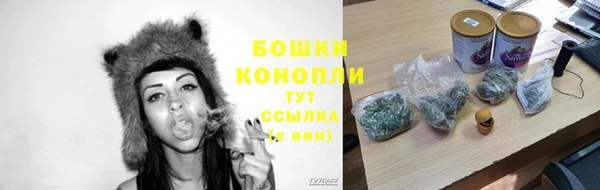 бошки Новодвинск