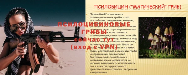 МДПВ Абаза
